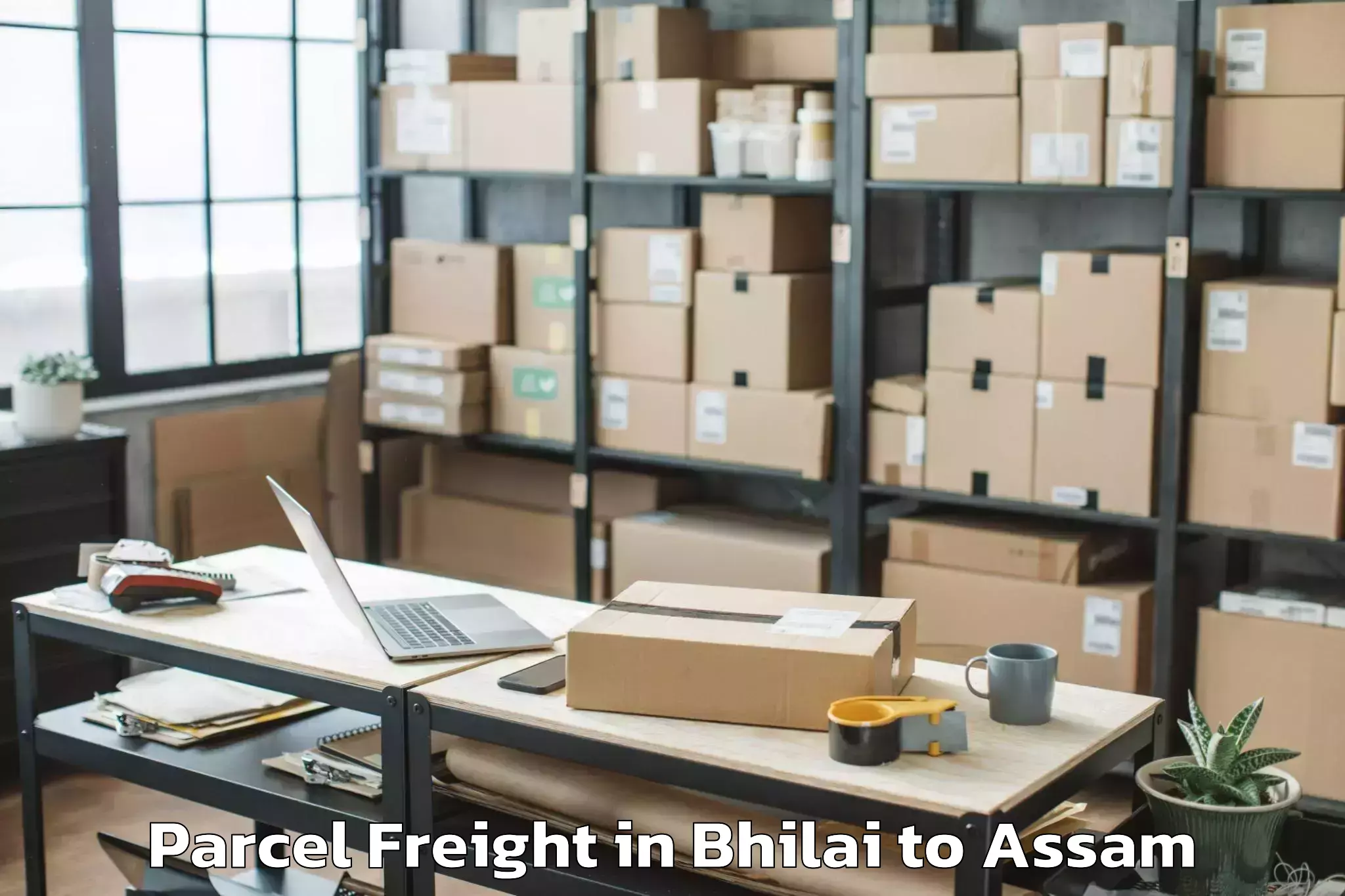 Easy Bhilai to Assam Parcel Freight Booking